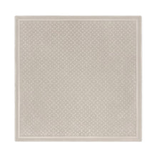 Louis Vuitton Greige Monogram Classic Shawl