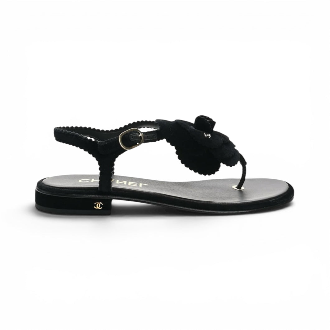 Chanel Shoes, Black Velvet Pearl Camellia Thong Sandals (size 37)